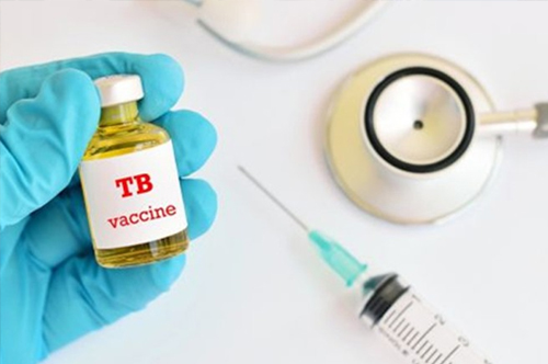 Akciğer Tüberkülozunu Önlemede Umut Veren Yeni Aşı